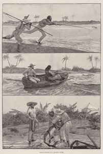 Florida Nehrinde Tarpon Balıkçılığı